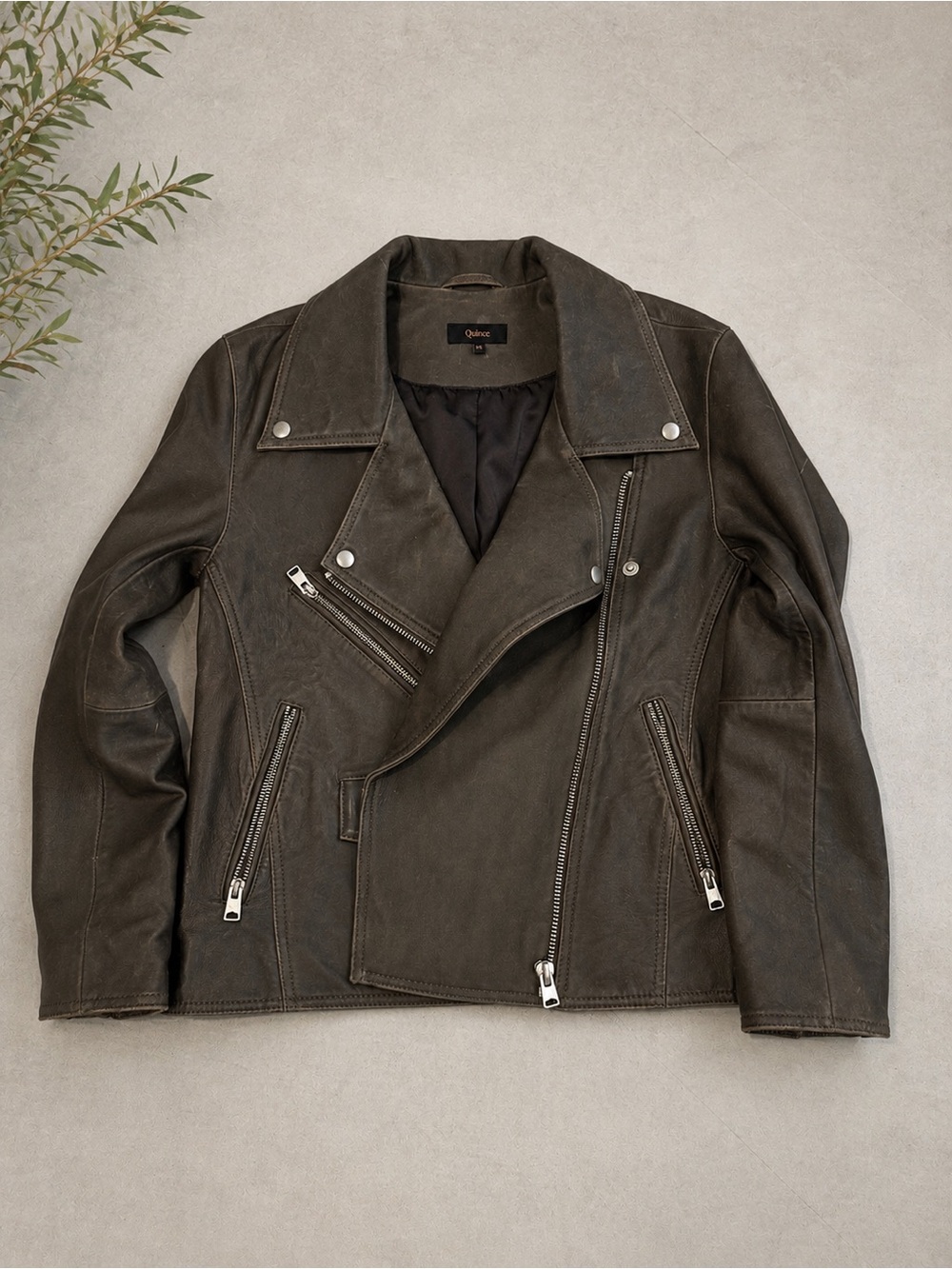 Quince 100% Leather Oversized Moto Biker Jacket Distressed Brown XS - Picture 3 of 11